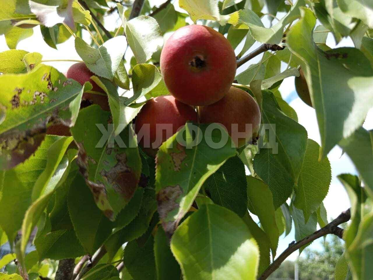 Продам земельный участок 600 м.кв.