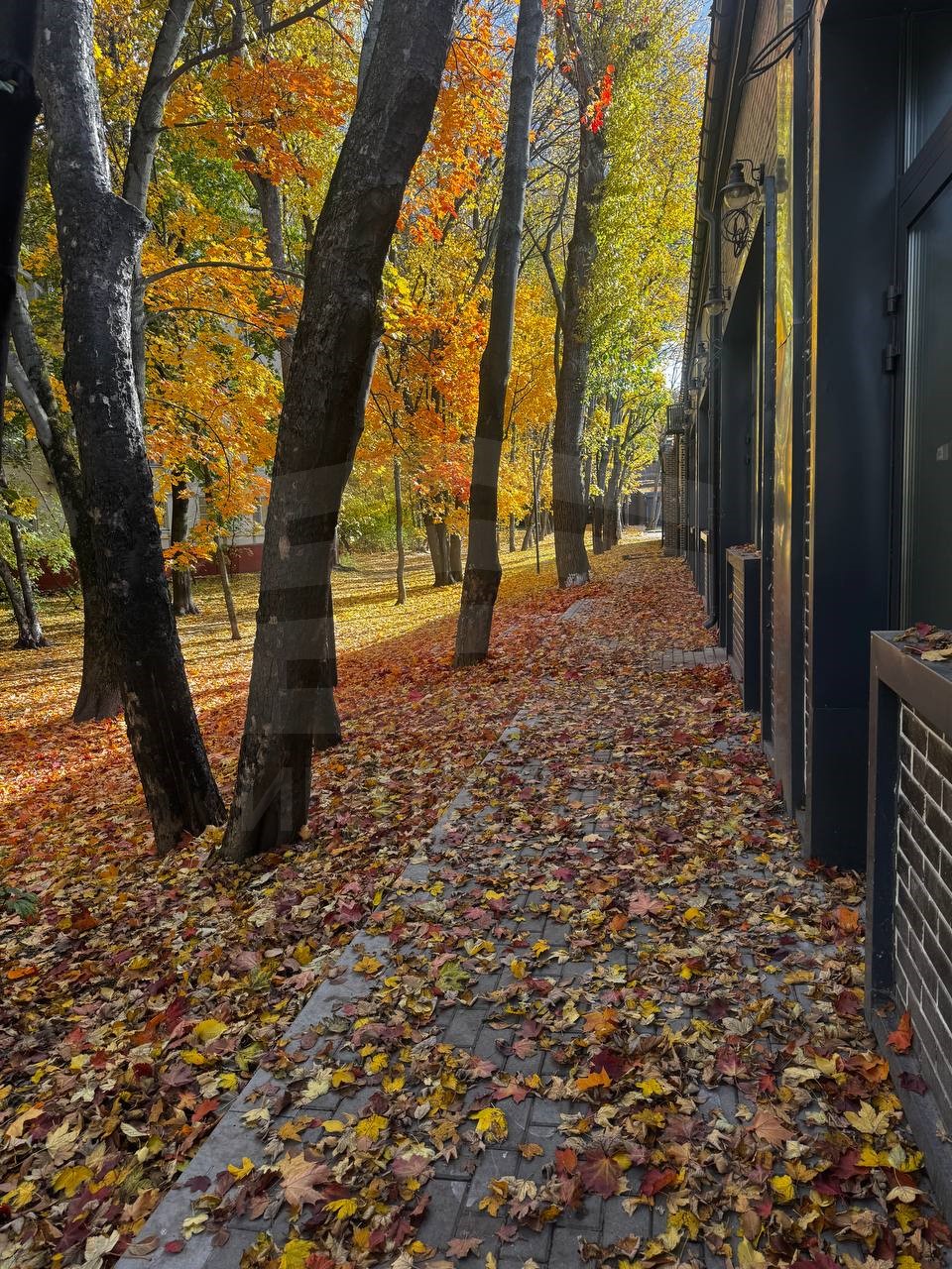 Фото: Аренда ПСН площадью 11.9 м2 test