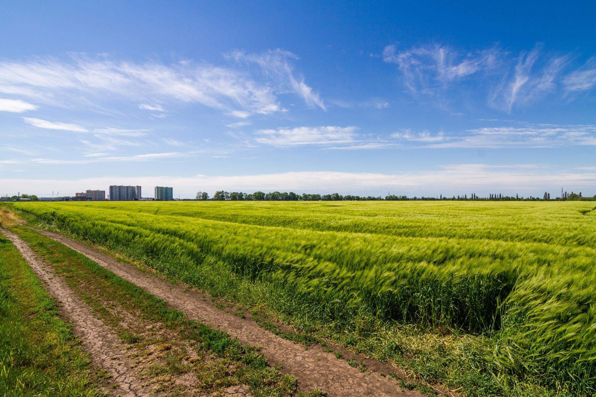 Сдам в аренду земельный участок 196100 м.кв.
