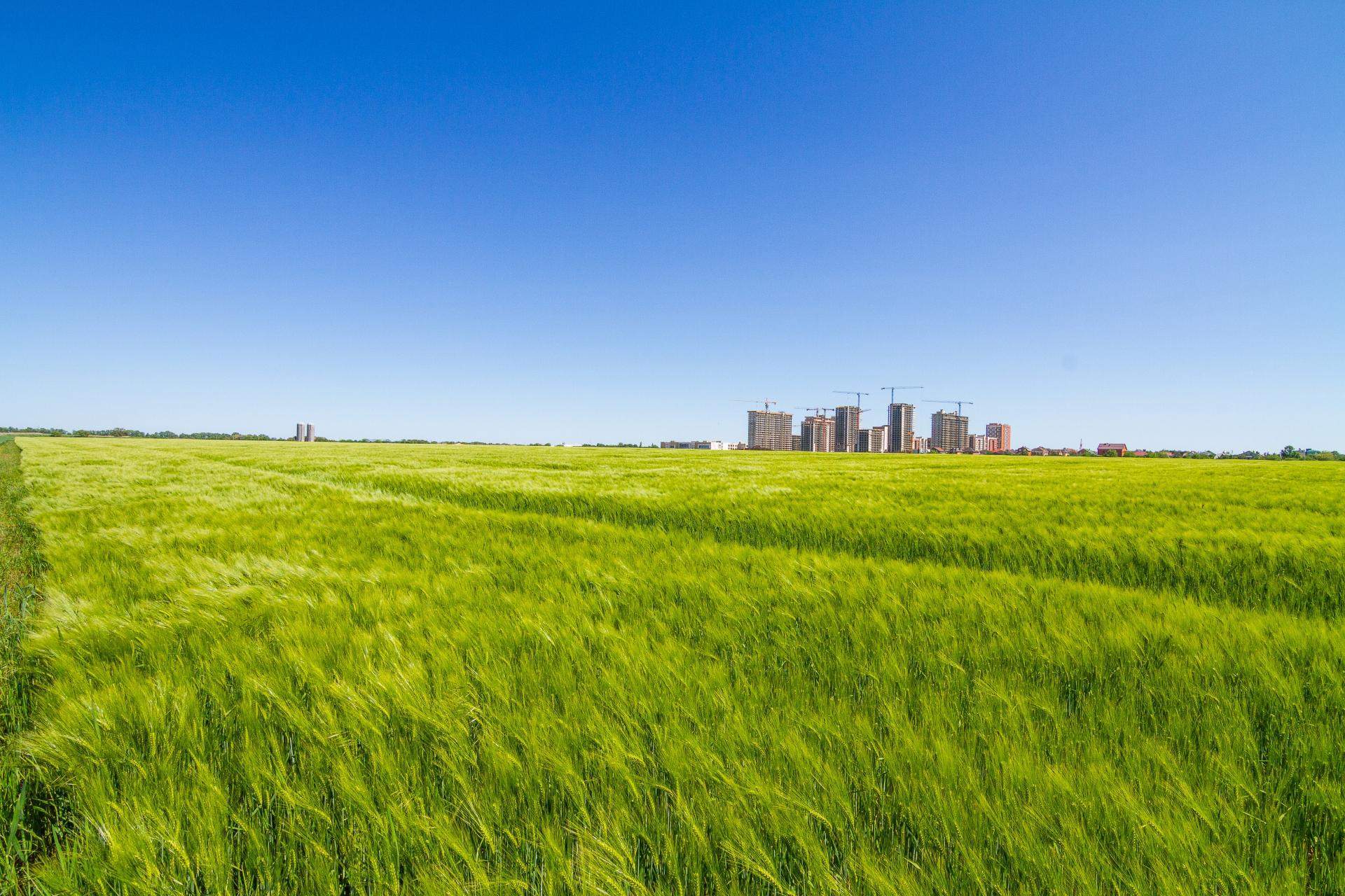 Сдам в аренду земельный участок 196100 м.кв.