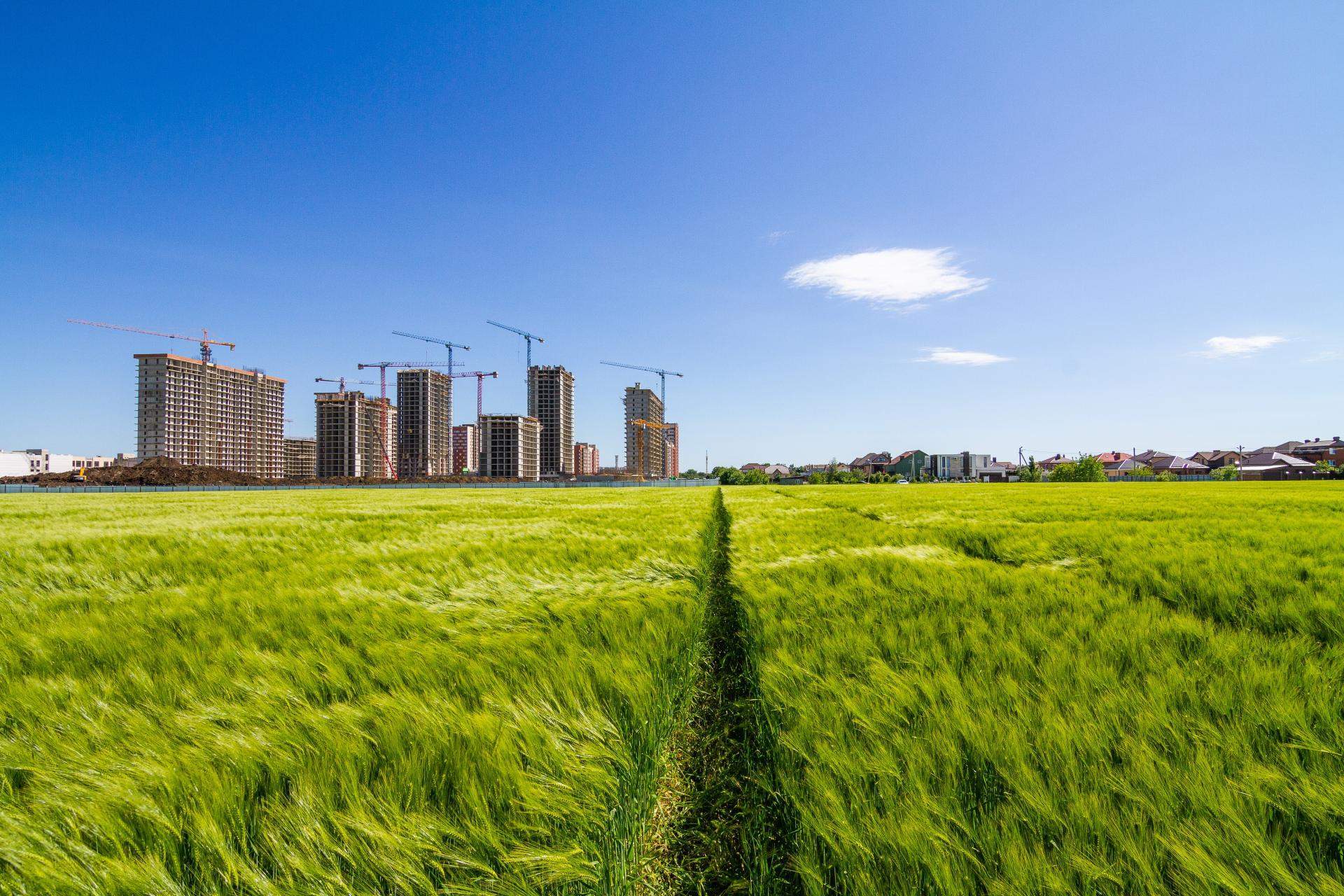 Сдам в аренду земельный участок 196100 м.кв.