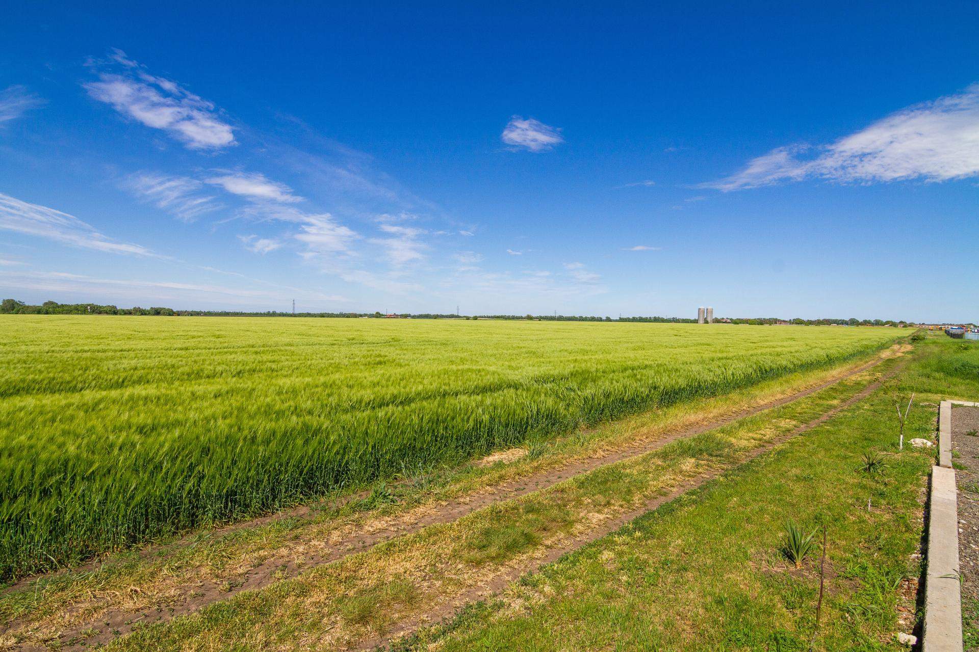 Сдам в аренду земельный участок 196100 м.кв.