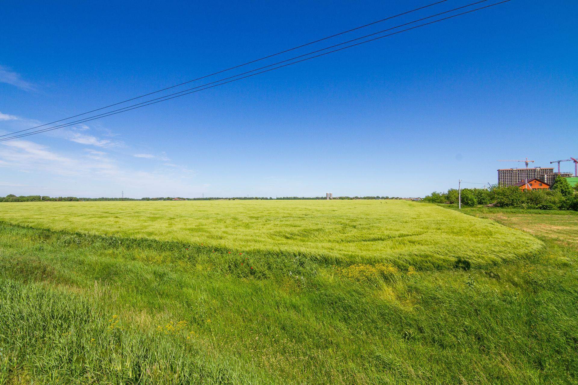Сдам в аренду земельный участок 196100 м.кв.