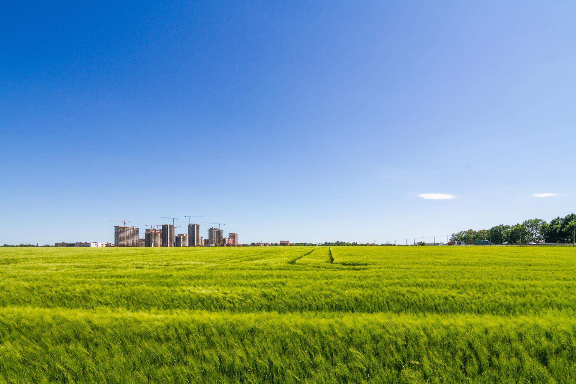 Сдам в аренду земельный участок 196100 м.кв.