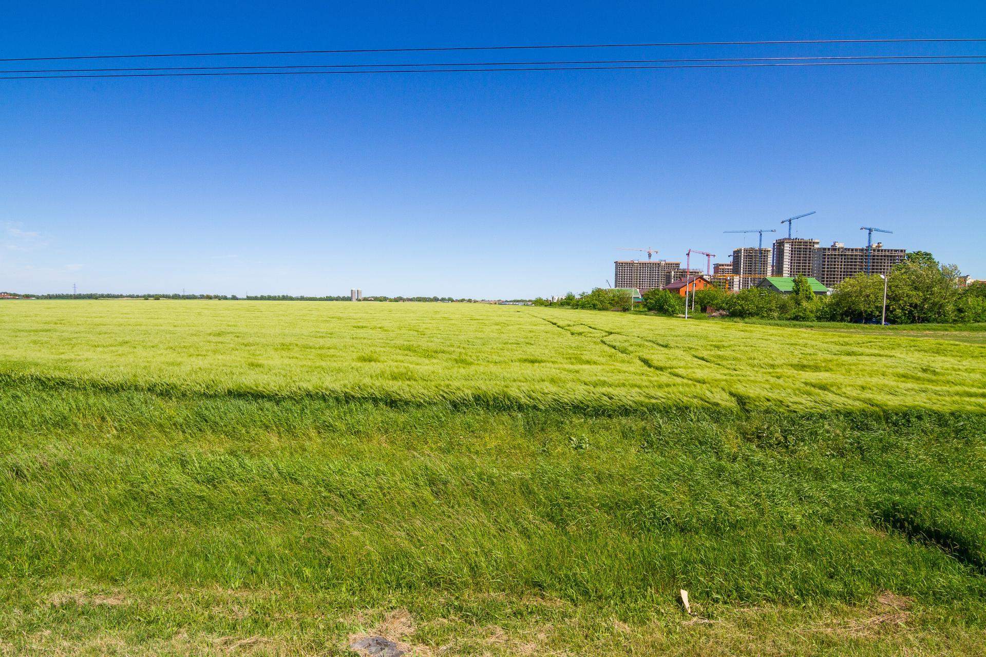 Сдам в аренду земельный участок 196100 м.кв.