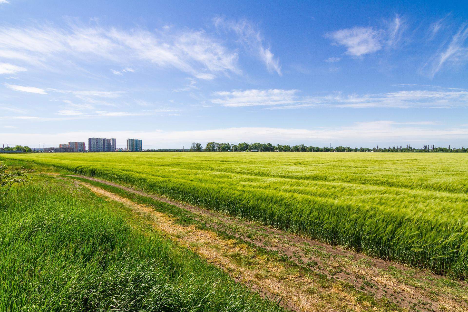Сдам в аренду земельный участок 196100 м.кв.