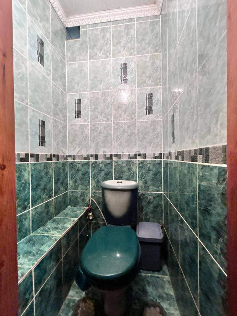 Дом на продажу в Плодопитомнике, Цветы Алтая улица фото №12