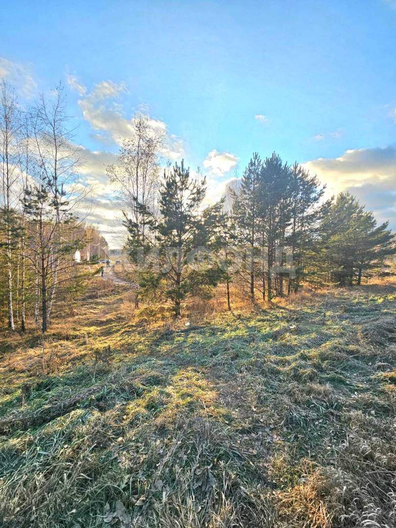 Участок на продажу в Зоркальцево, Платова улица фото №2