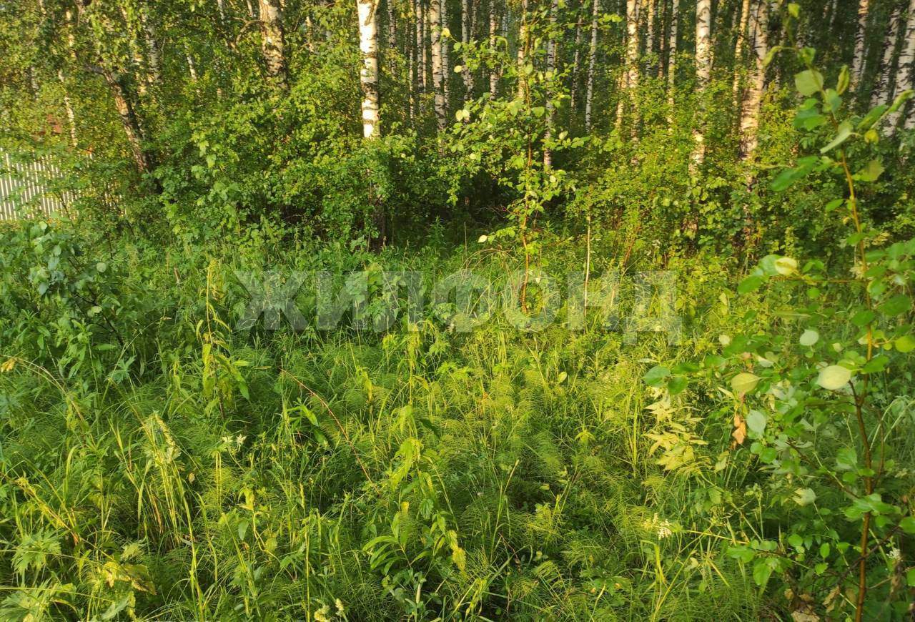 Продам земельный участок 800 м.кв.