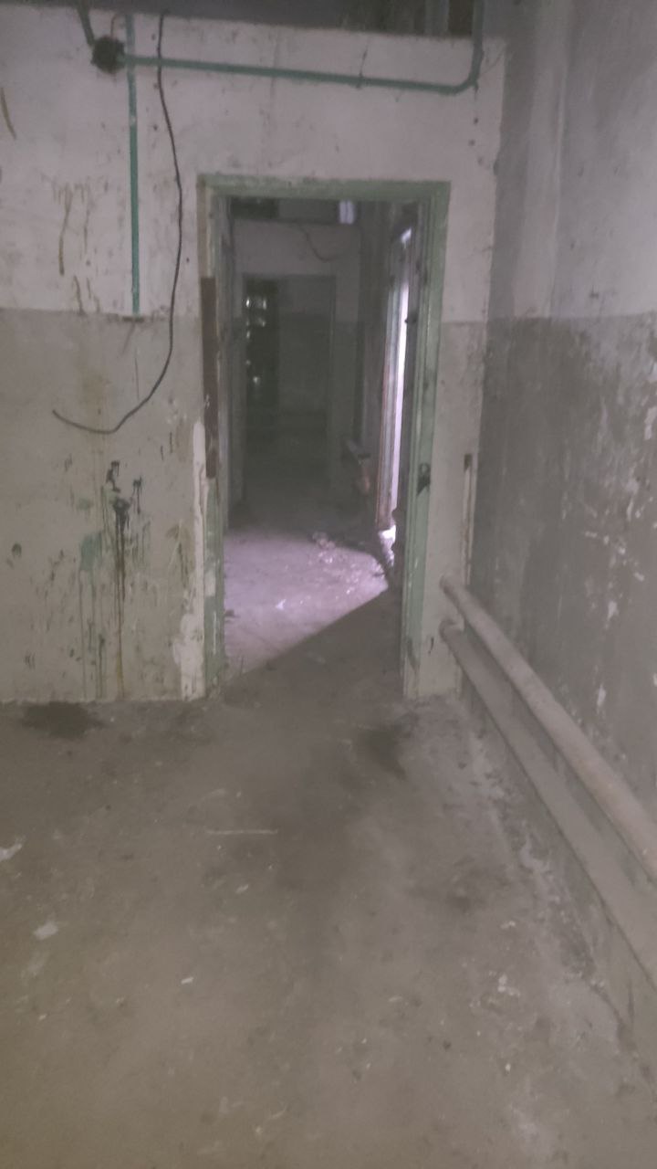 Фото: Помещение площадью 34,9 кв.м, Бибирево test