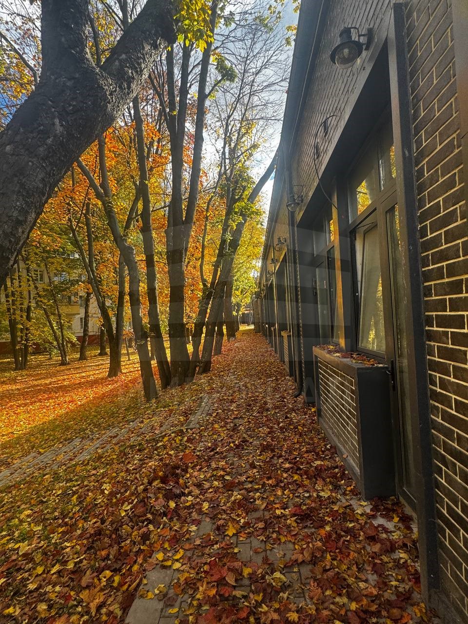 Сдам в аренду помещение свободного назначения 12.2 м.кв.