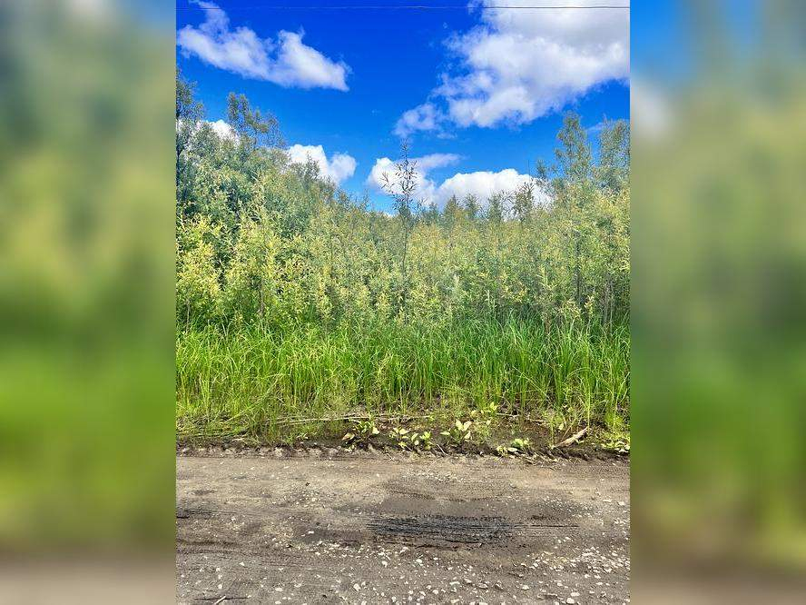 Участок на продажу в Лангепасе, Рябинушка территория снт фото №1