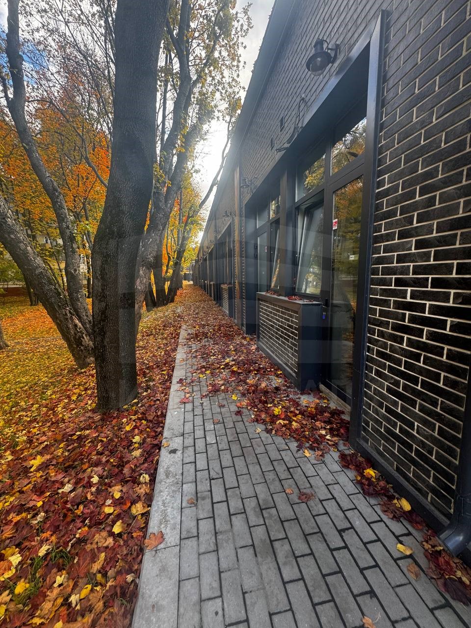 Сдам в аренду помещение свободного назначения 12.2 м.кв.