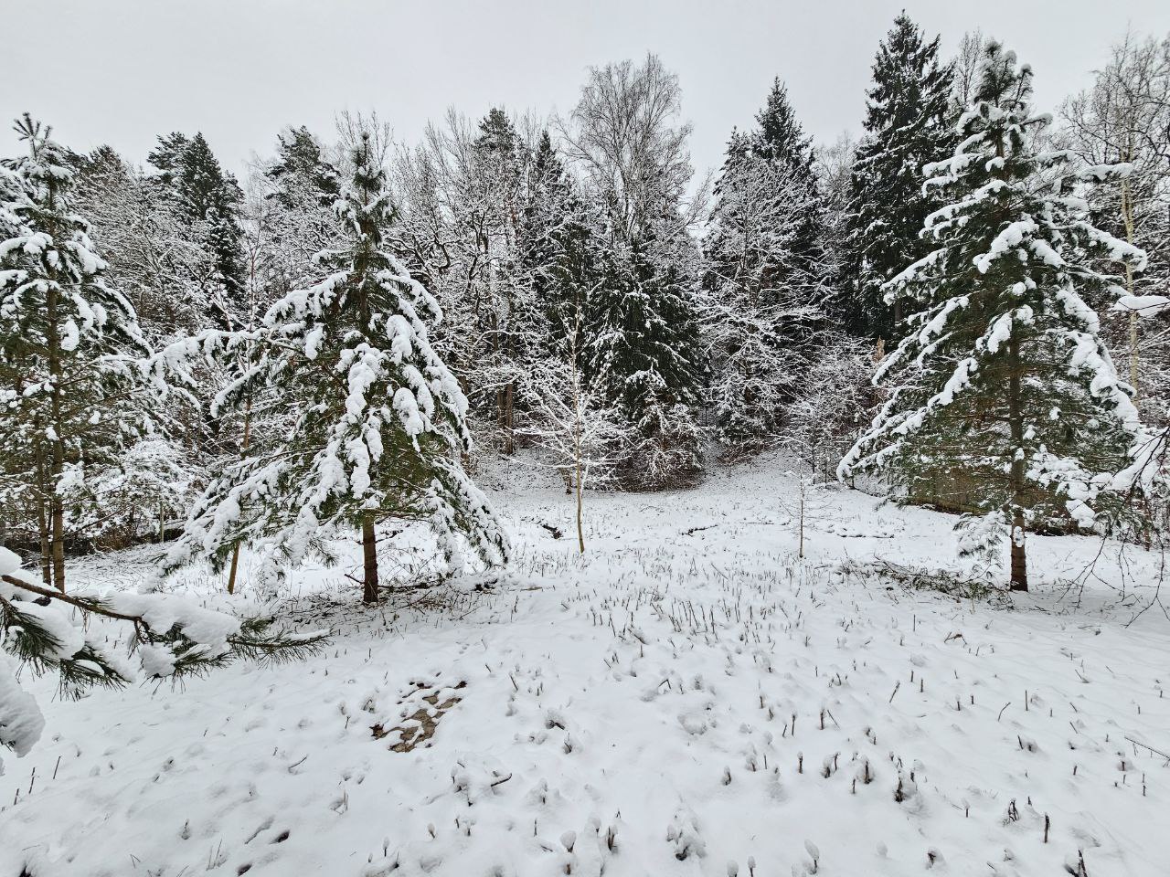 Продам земельный участок 2000 м.кв.