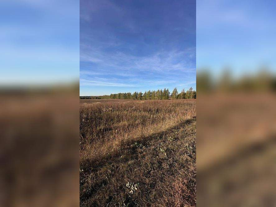 Продам земельный участок 68320 м.кв.