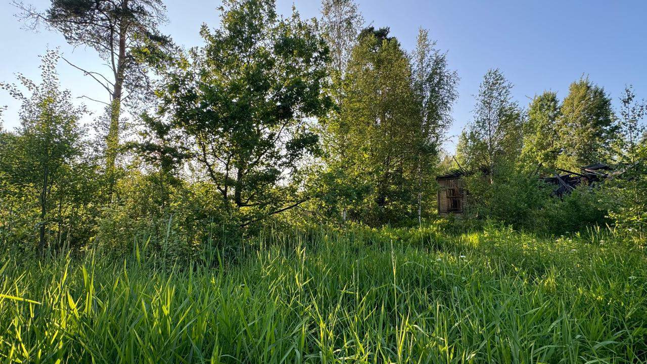 Продам торговое помещение 240 м.кв.