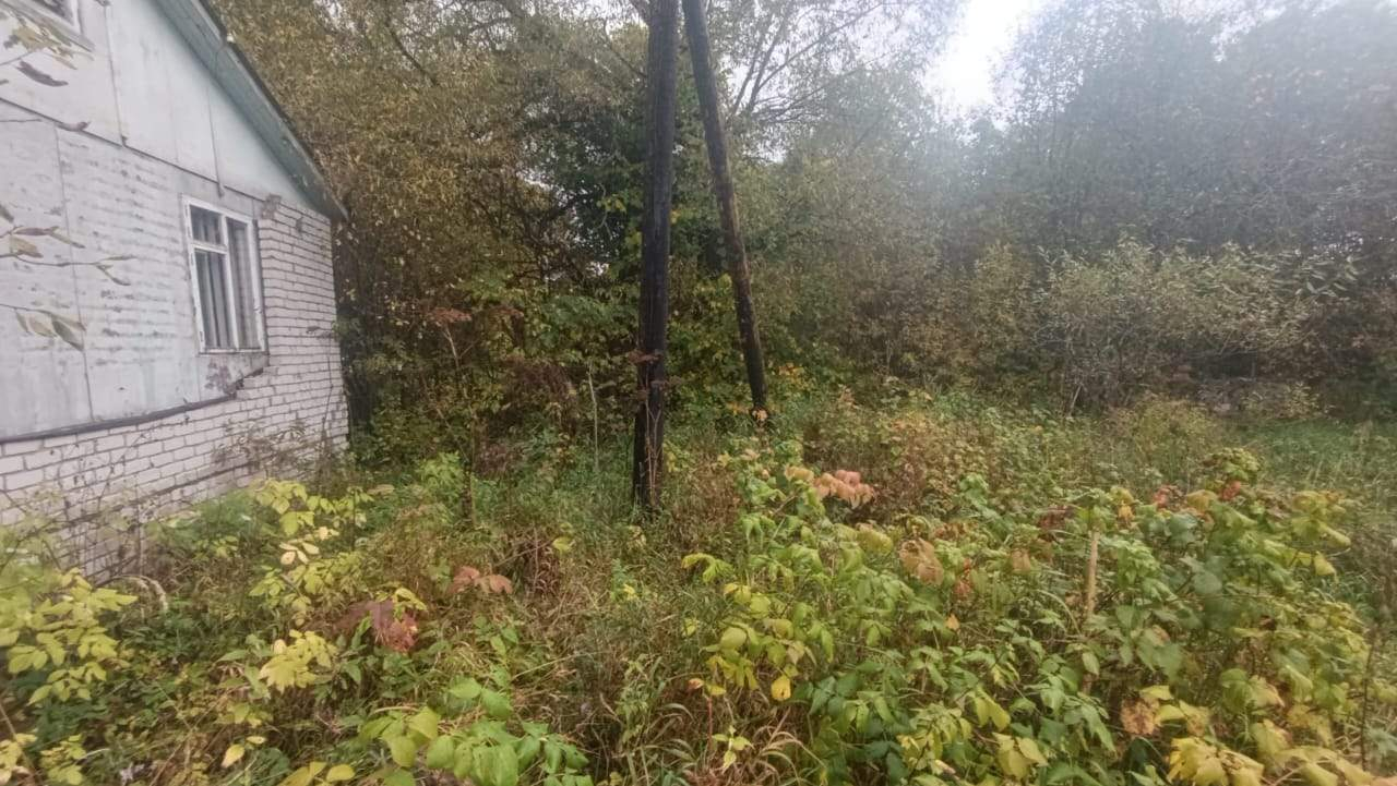 Фото: Продается здание 74 м2 test