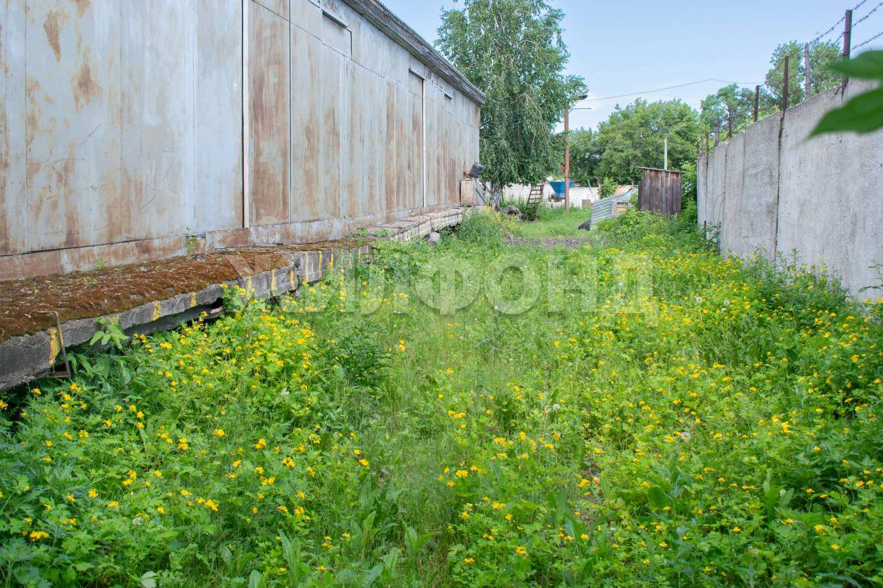 Продам производственное помещение 3100 м.кв.