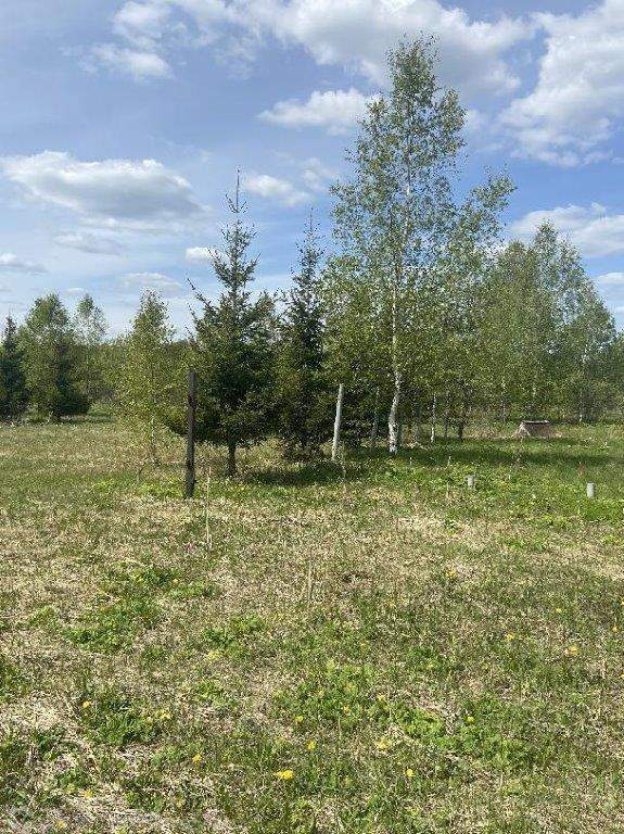 Продам земельный участок 52310 м.кв.