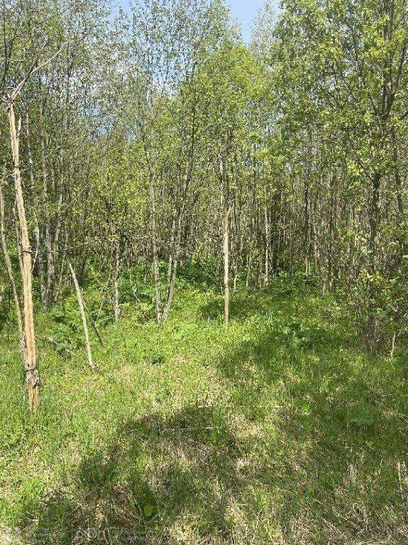 Продам земельный участок 52310 м.кв.