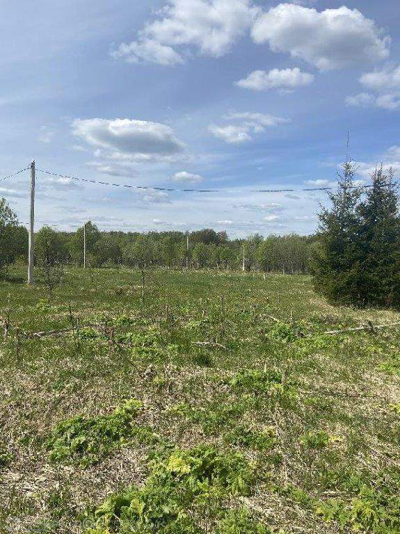 Продам земельный участок 52310 м.кв.