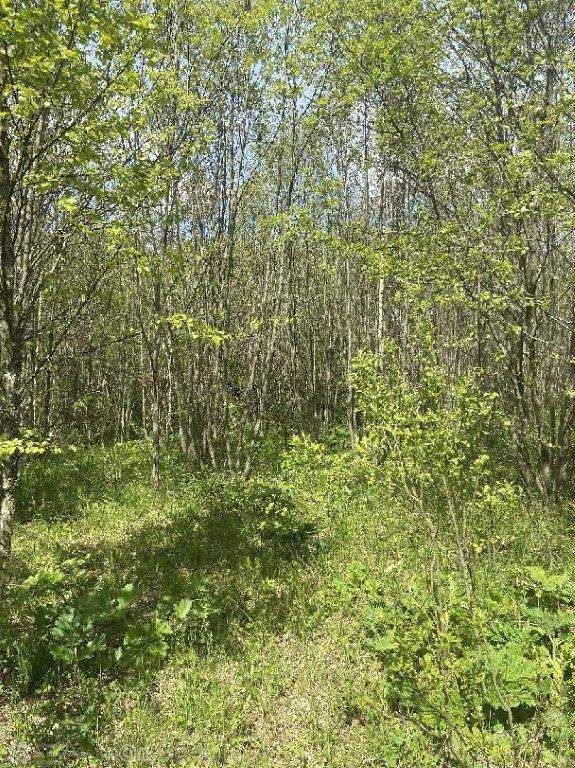 Продам земельный участок 52310 м.кв.