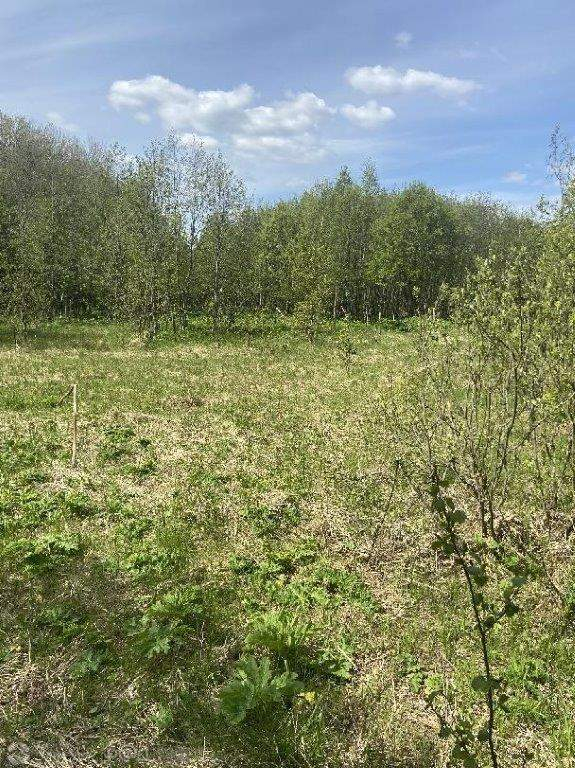 Продам земельный участок 52310 м.кв.