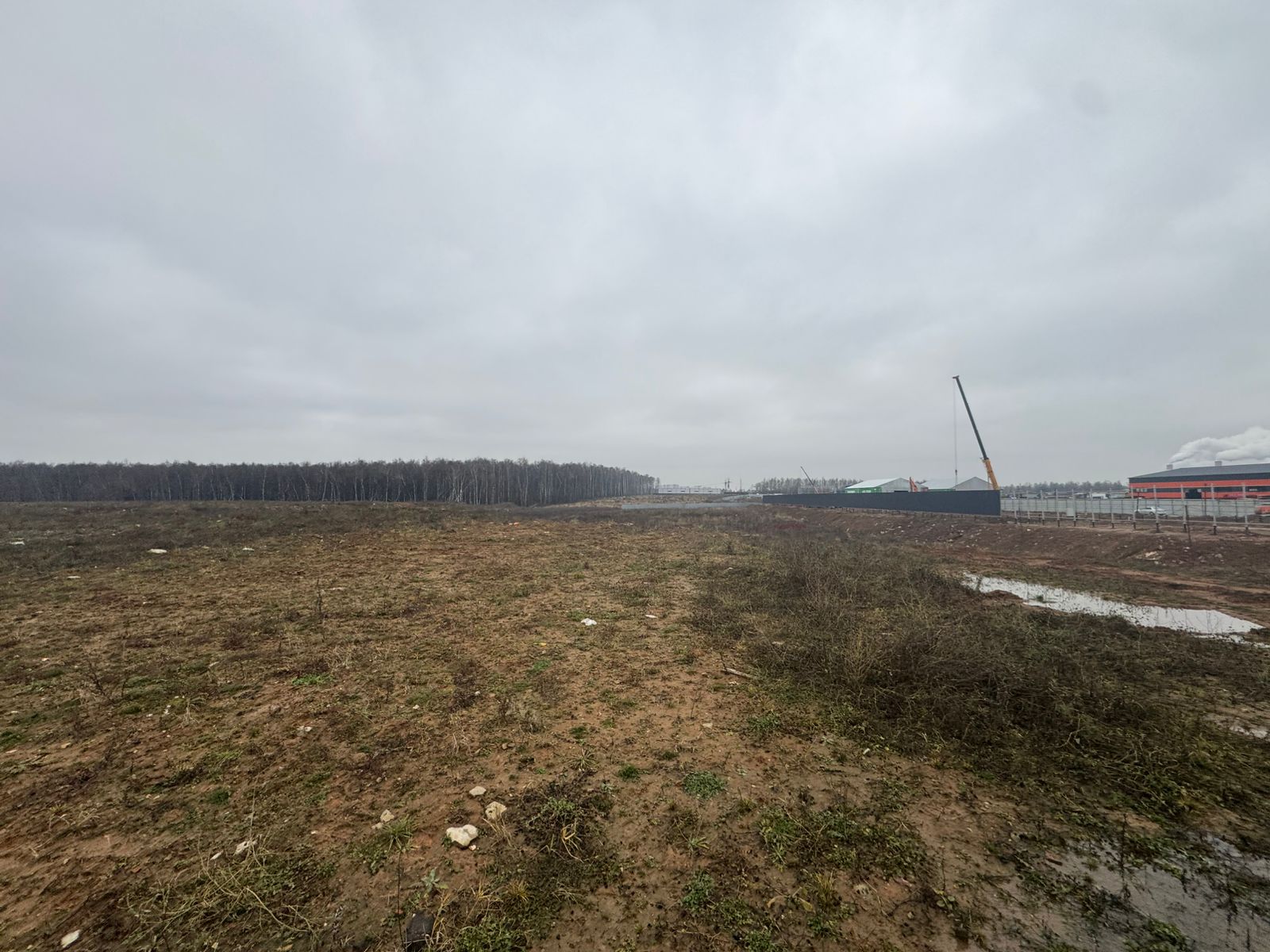 Сдам в аренду земельный участок 24800 м.кв.