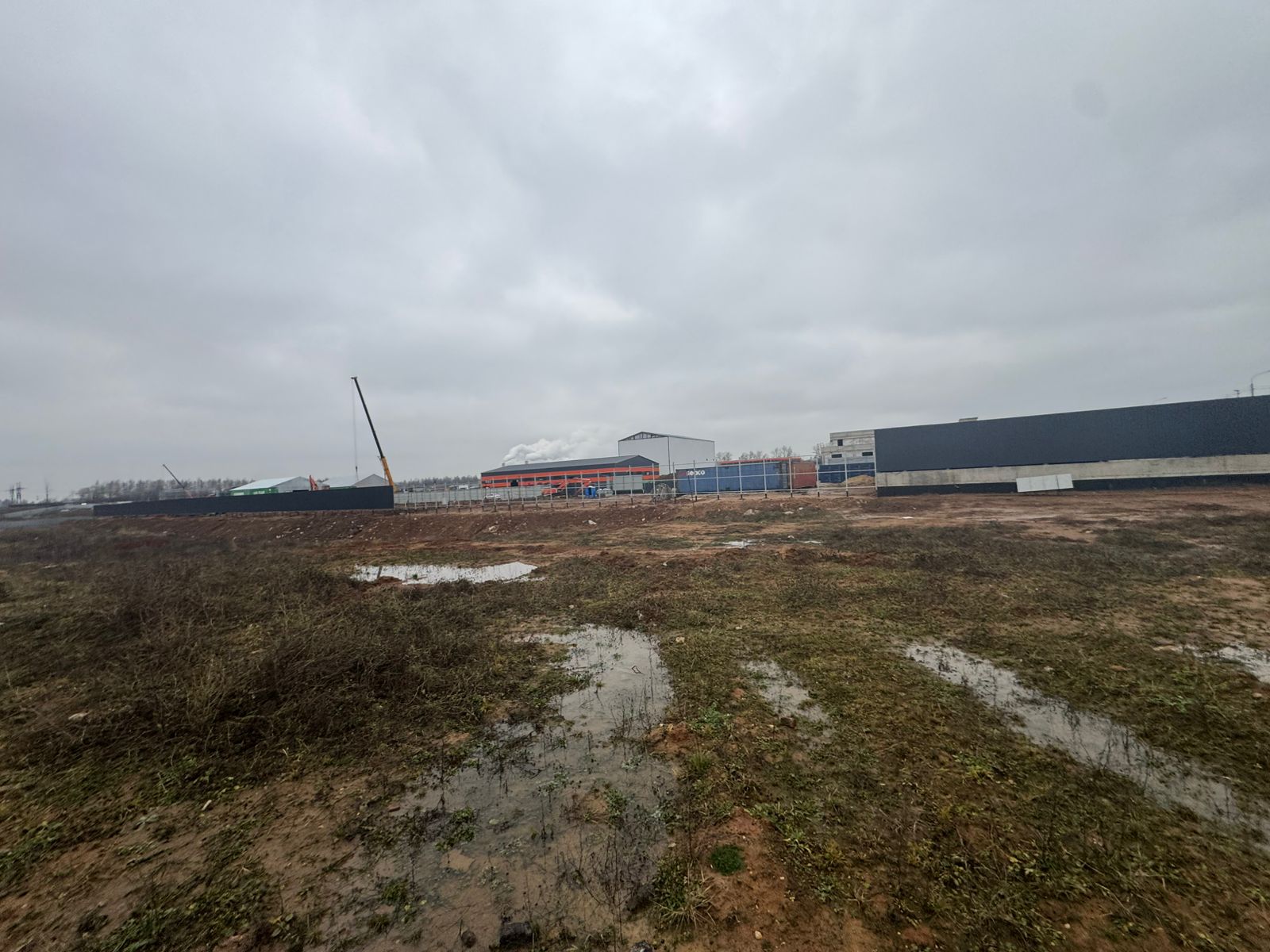 Сдам в аренду земельный участок 24800 м.кв.