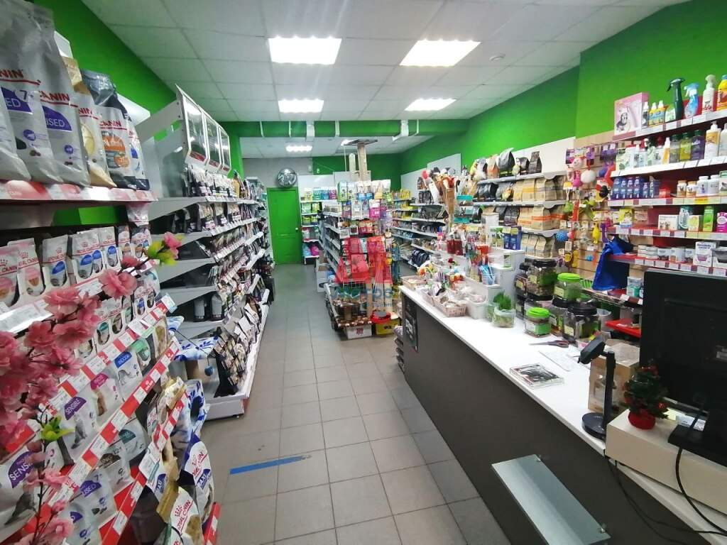 Сдам в аренду помещение свободного назначения 65 м.кв.