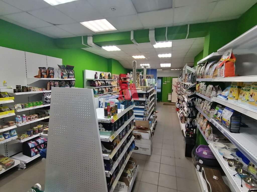 Сдам в аренду помещение свободного назначения 65 м.кв.