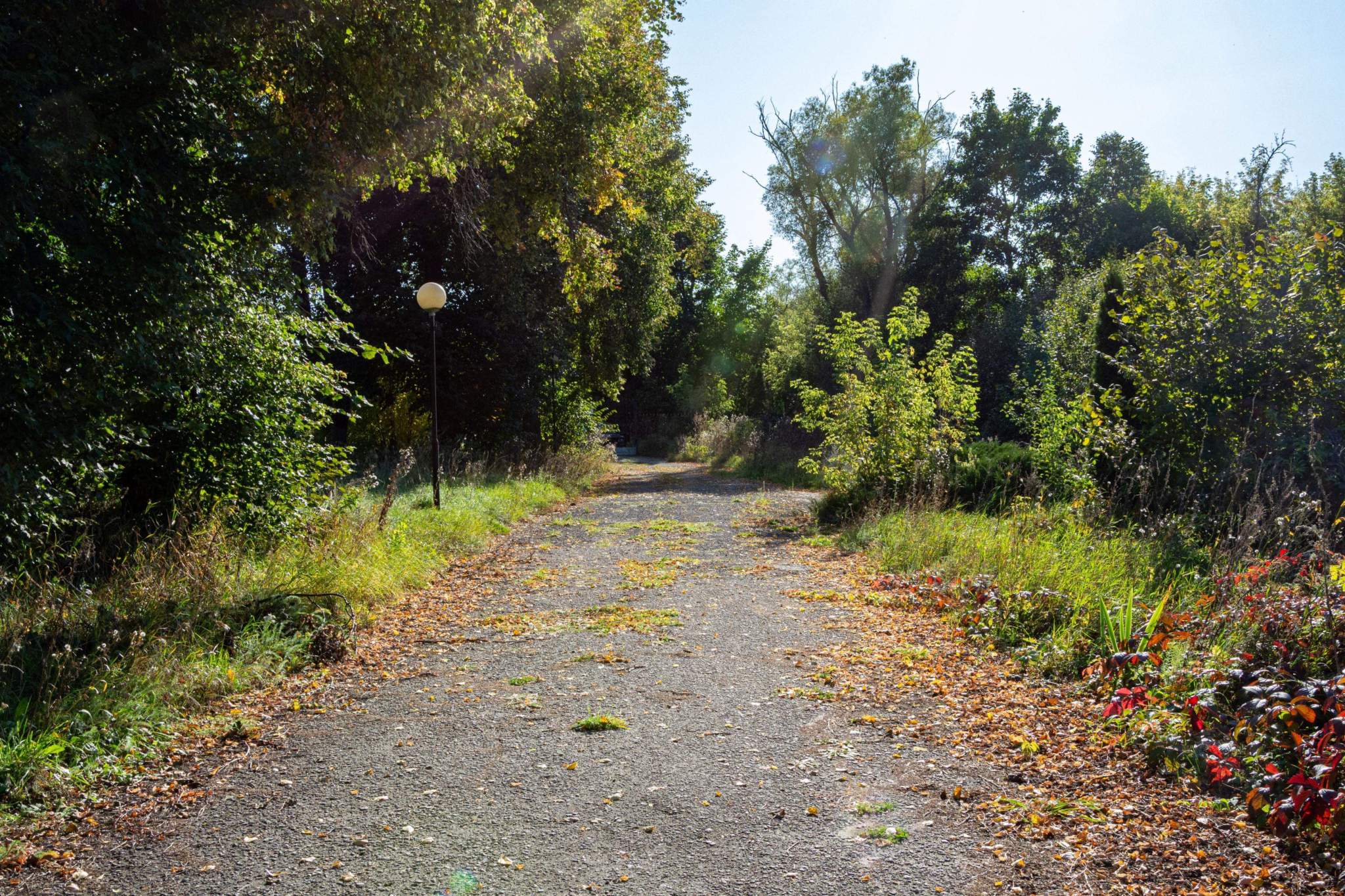 Продам торговое помещение 1022.9 м.кв.