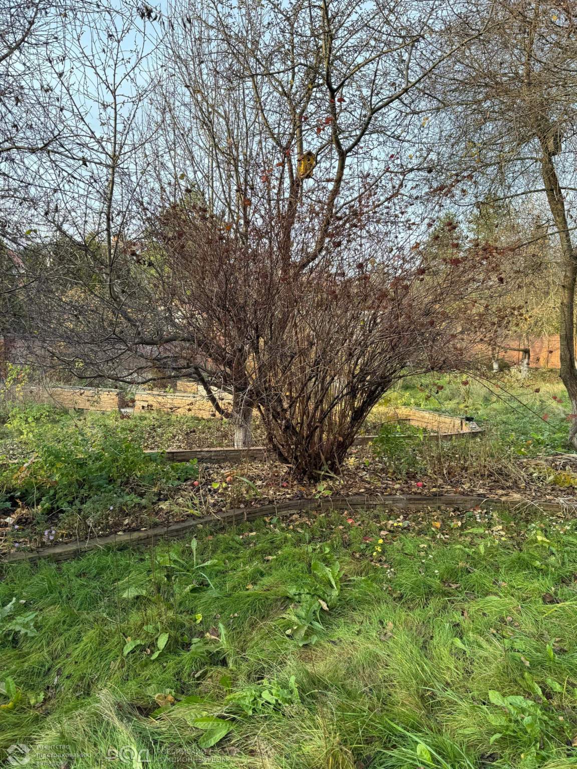 Коттедж на продажу в деревне Чиверёво, Виноградная улица, 33 фото №17