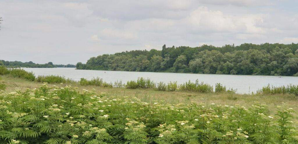 Продам земельный участок 1239 м.кв.