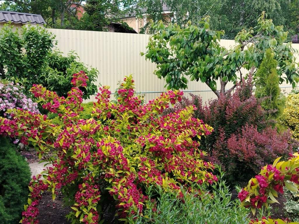 Дом на продажу в Краснодаре, Белозерная улица, 42 фото №21