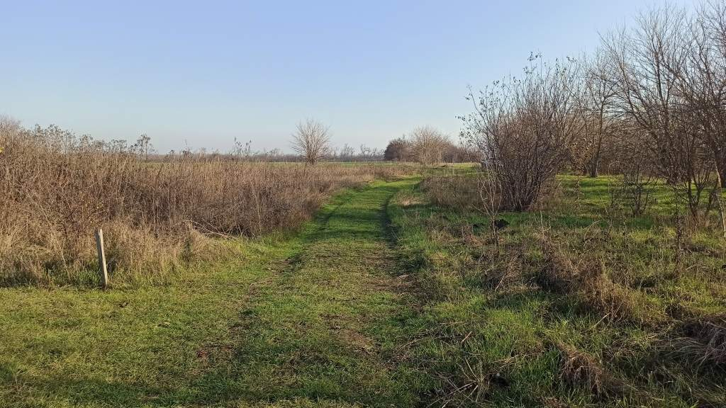 Продам земельный участок 2500 м.кв.