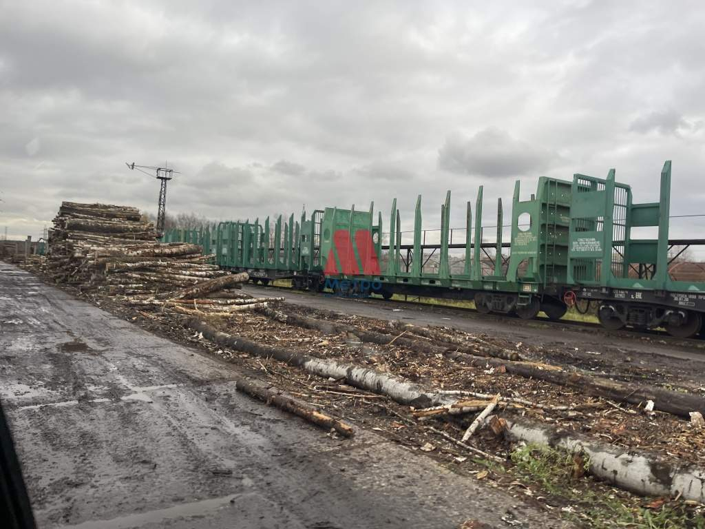 Продам земельный участок 50000 м.кв.