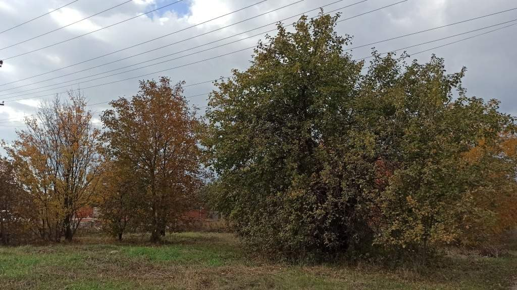 Продам земельный участок 600 м.кв.