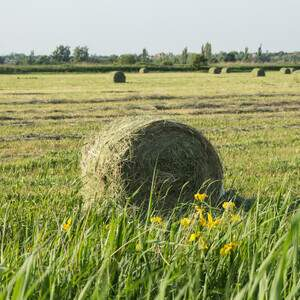 Продам земельный участок 20000 м.кв.