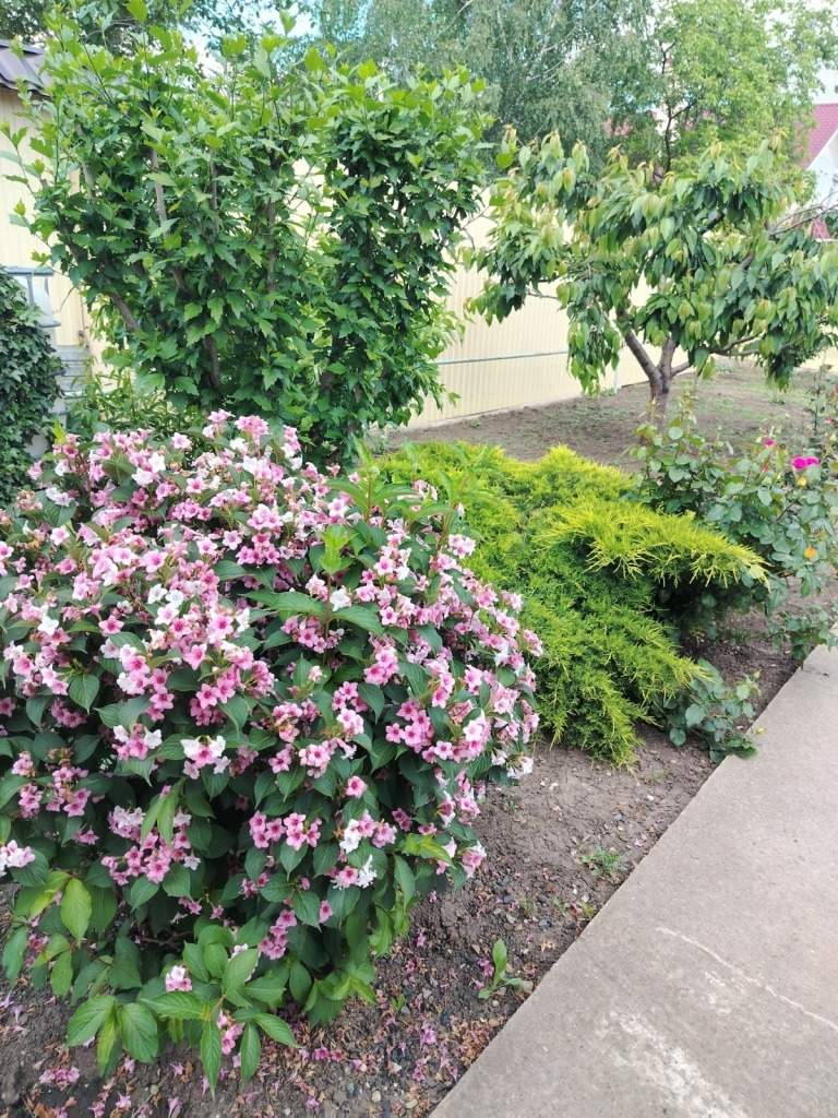 Дом на продажу в Краснодаре, Белозерная улица, 42 фото №22