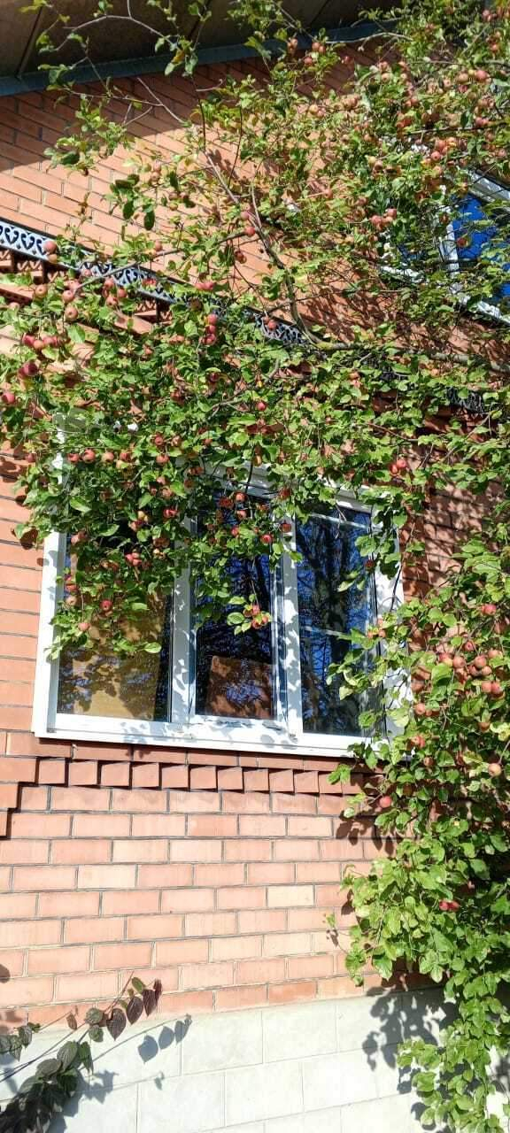 Дом на продажу в Калинине, Шоссейная ул., влд131 фото №3