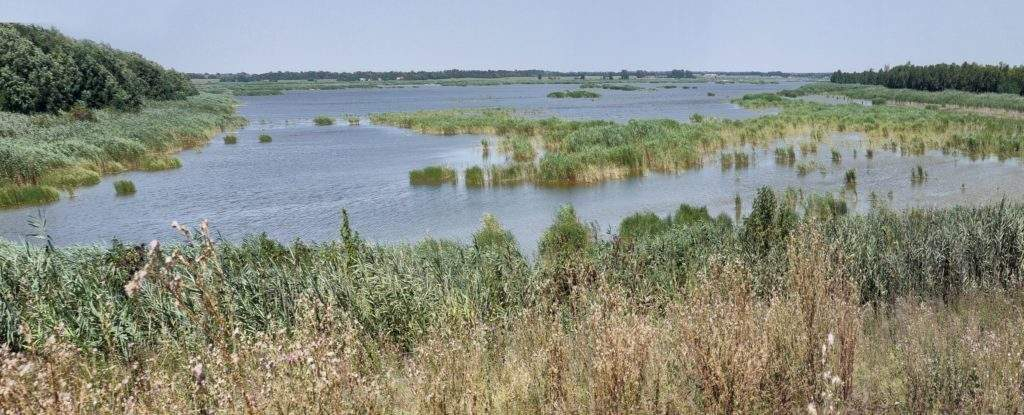 Участок на продажу в Краснодаре, Мира улица