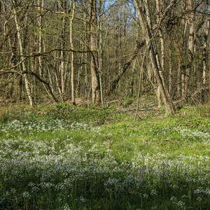 Продам земельный участок 20000 м.кв.