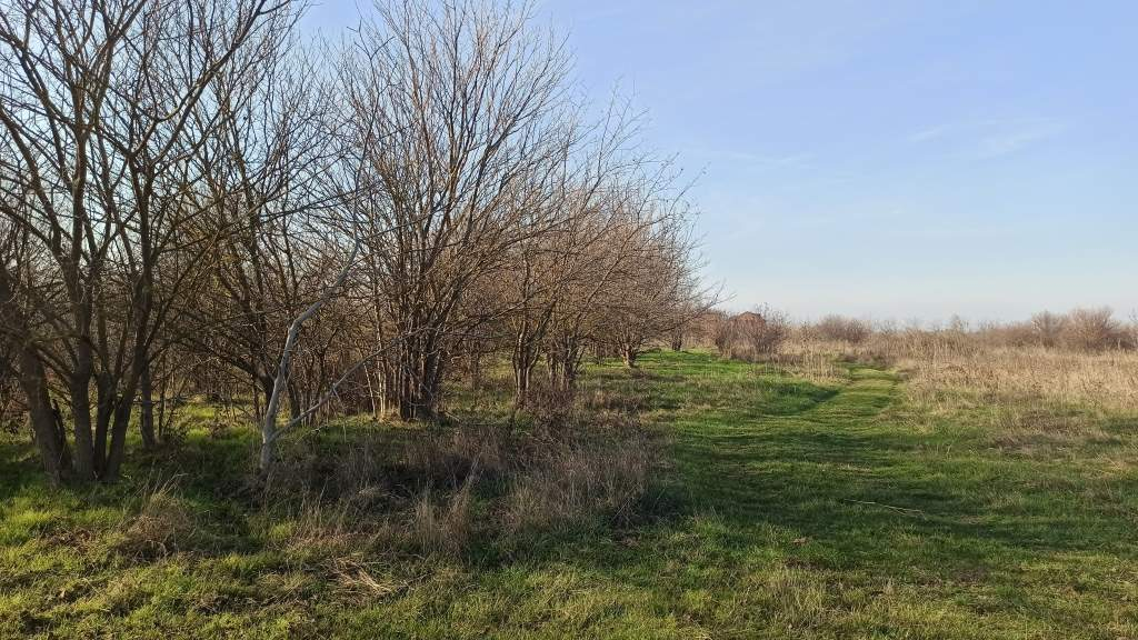 Продам земельный участок 2500 м.кв.