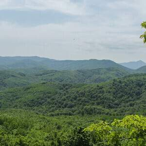 Продам земельный участок 20000 м.кв.