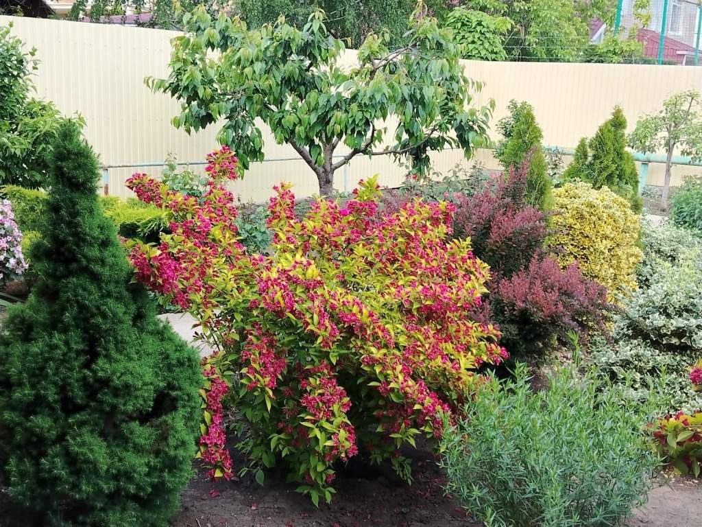 Дом на продажу в Краснодаре, Белозерная улица, 42 фото №20