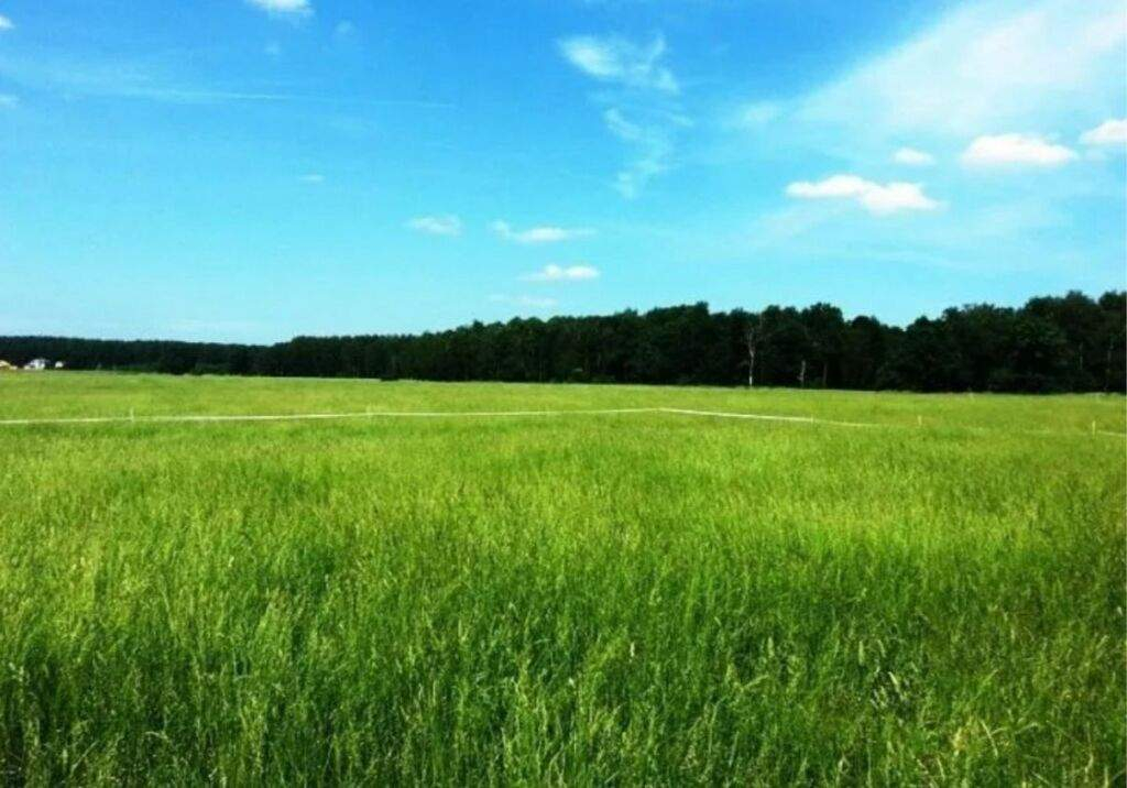 Продам земельный участок 709 м.кв.