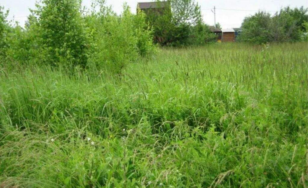 Продам земельный участок 600 м.кв.