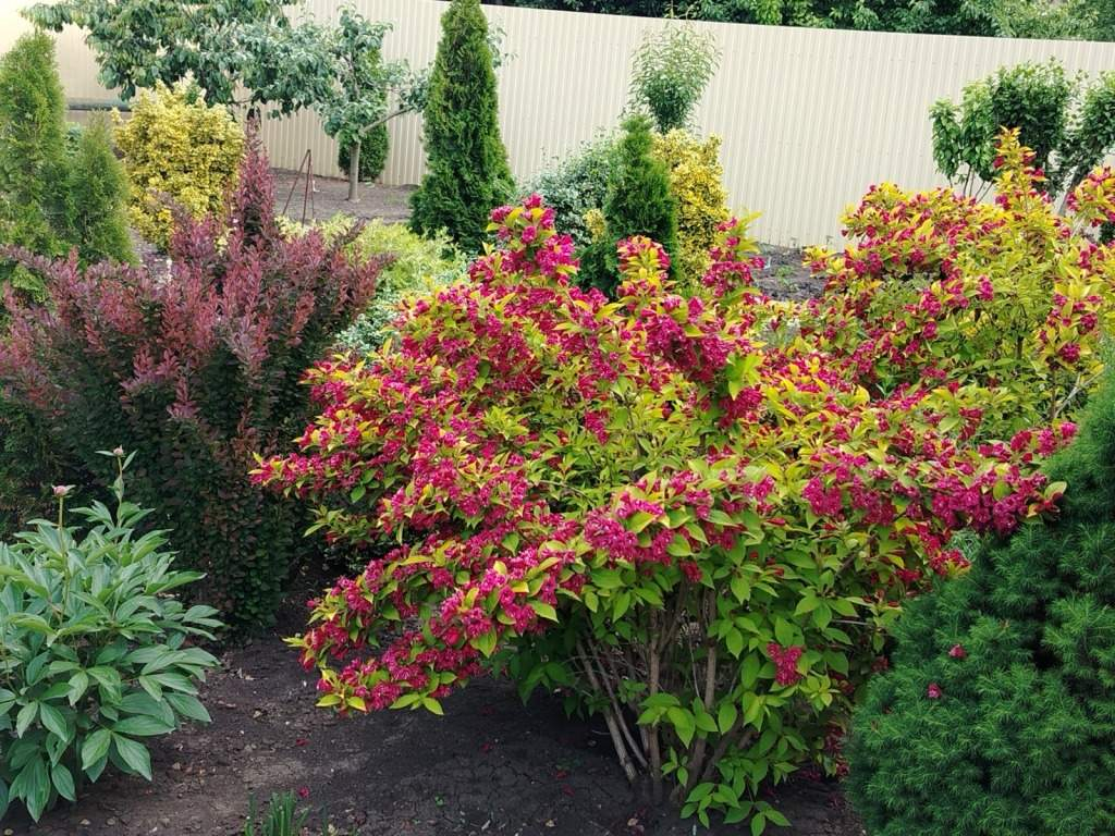 Дом на продажу в Краснодаре, Белозерная улица, 42 фото №18