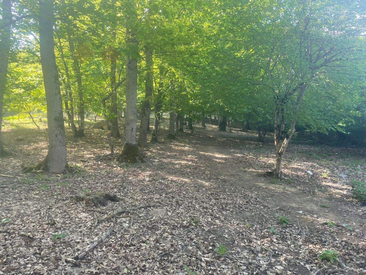 Продам земельный участок 700 м.кв.